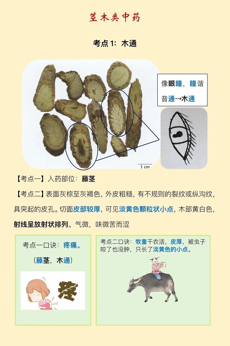 恒普印度代购希爱力是真的吗？避坑指南与正品鉴别全攻略
